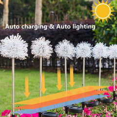 Lorled Novelty Solar Flower Lights Outdoor Waterproof Solar Dandelion Lights
