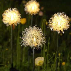 Lorled Solar Powered Dandelion Lights Extra Bright Solar Lights For Outside Of House
